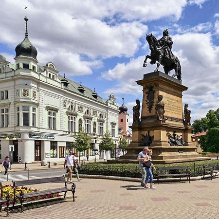 Apartment Spa And Fontain Podiebrady Zewnętrze zdjęcie